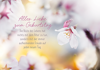 Alles Liebe zum Geburtstag