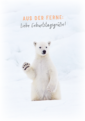 Aus der Ferne...