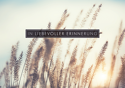 In liebevoller Erinnerung