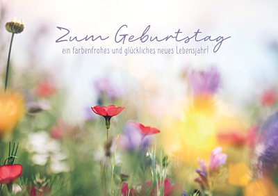 Zum Geburtstag...