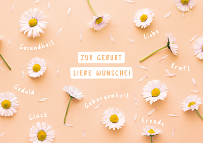 Zur Geburt liebe Wünsche!