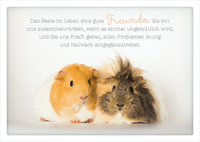 Das Beste im Leben sind...