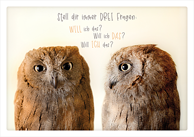 Drei Fragen