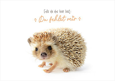 Du fehlst mir