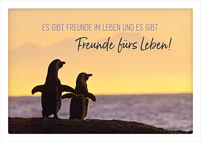 Es gibt Freunde...