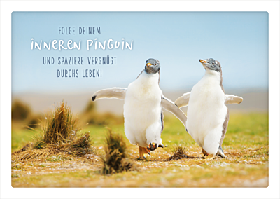 Folge deinem inneren Pinguin...