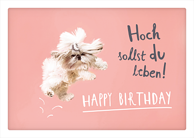 Hoch sollst du leben!