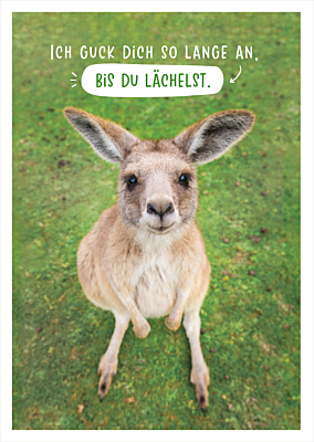 Ich guck dich...