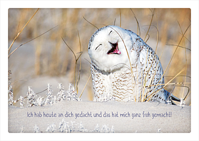 Ich hab heute an dich gedacht...