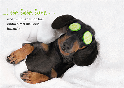 Lebe, liebe, lache