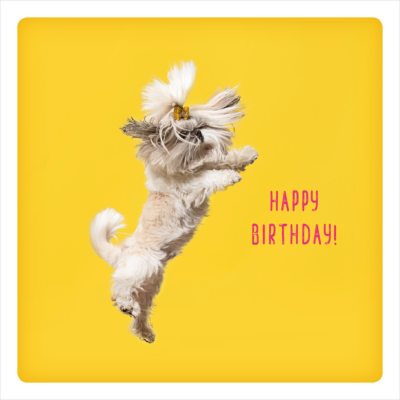 Happy Birthday!